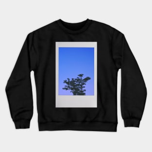 Tree in the Purple Night Sky Instant Photo (Purple People Eater) Crewneck Sweatshirt